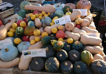 Jaarmarkt van Winterfruit