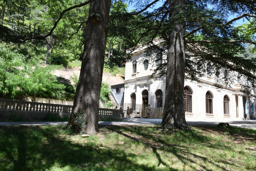 Auberge des Dauphins Saoû