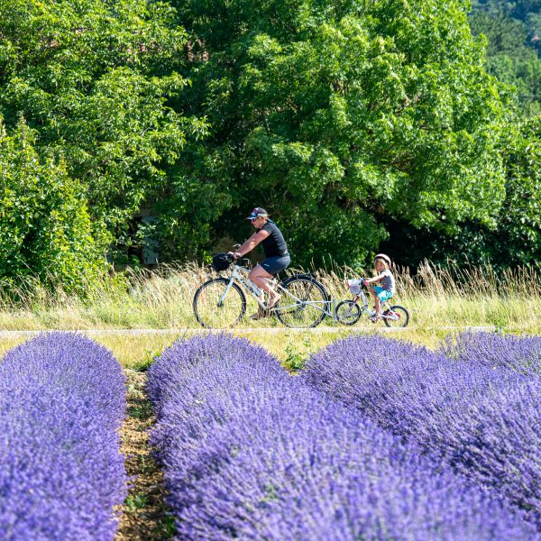 Vélodrôme