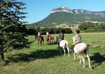 Equitation Les Crinières de Roche Colombe – Ferme équestre